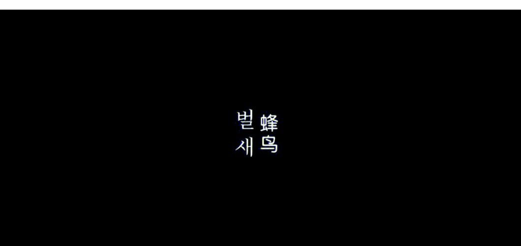 新视觉影院在线观看 - 2024最新高清电影电视剧免费追剧平台（高清画质 / 无广告干扰 / 每日更新）