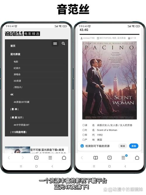 老师爱啪啪啪的相关介绍