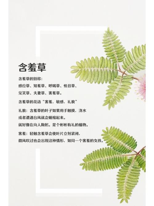 蘑菇影院在线观看 - 最新高清电影电视剧免费追剧平台，海量影视资源实时更新
