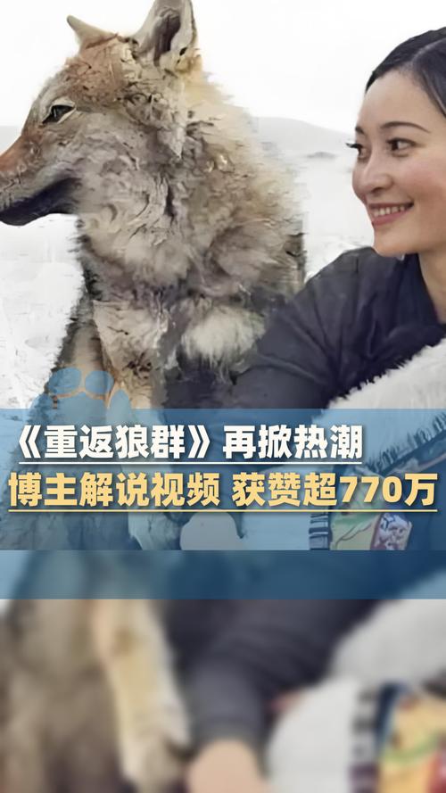 五福影院1378在线观看 - 2025最新高清影视资源免费追剧平台