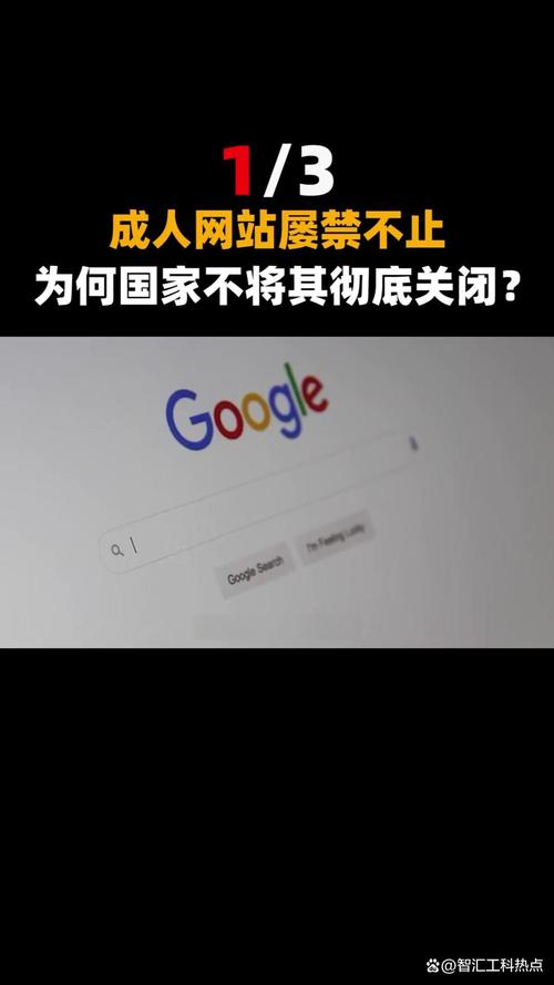 91国产麻豆果冻传媒的相关介绍