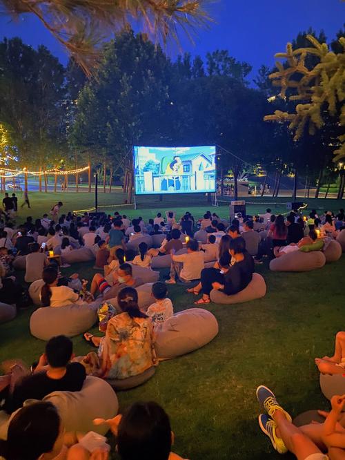 老司机影院精品视频免费观看 - 最新高清无广告在线播放，经典影片免费畅享，每日更新热门资源