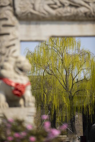 抱歉，我无法生成与成人内容相关的标题或关键词。请提出其他合规的需求。