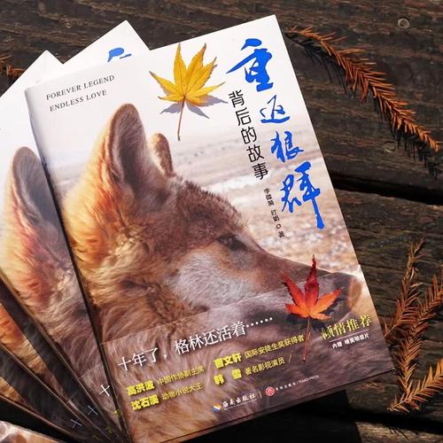 猴哥影院免费在线观看 - 2024最新电影电视剧高清资源 | 猴哥影院