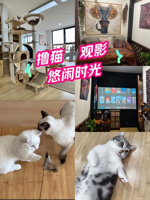 73影院在线观看 - 免费高清影视资源、最新热播剧集、2025热门电影抢先看