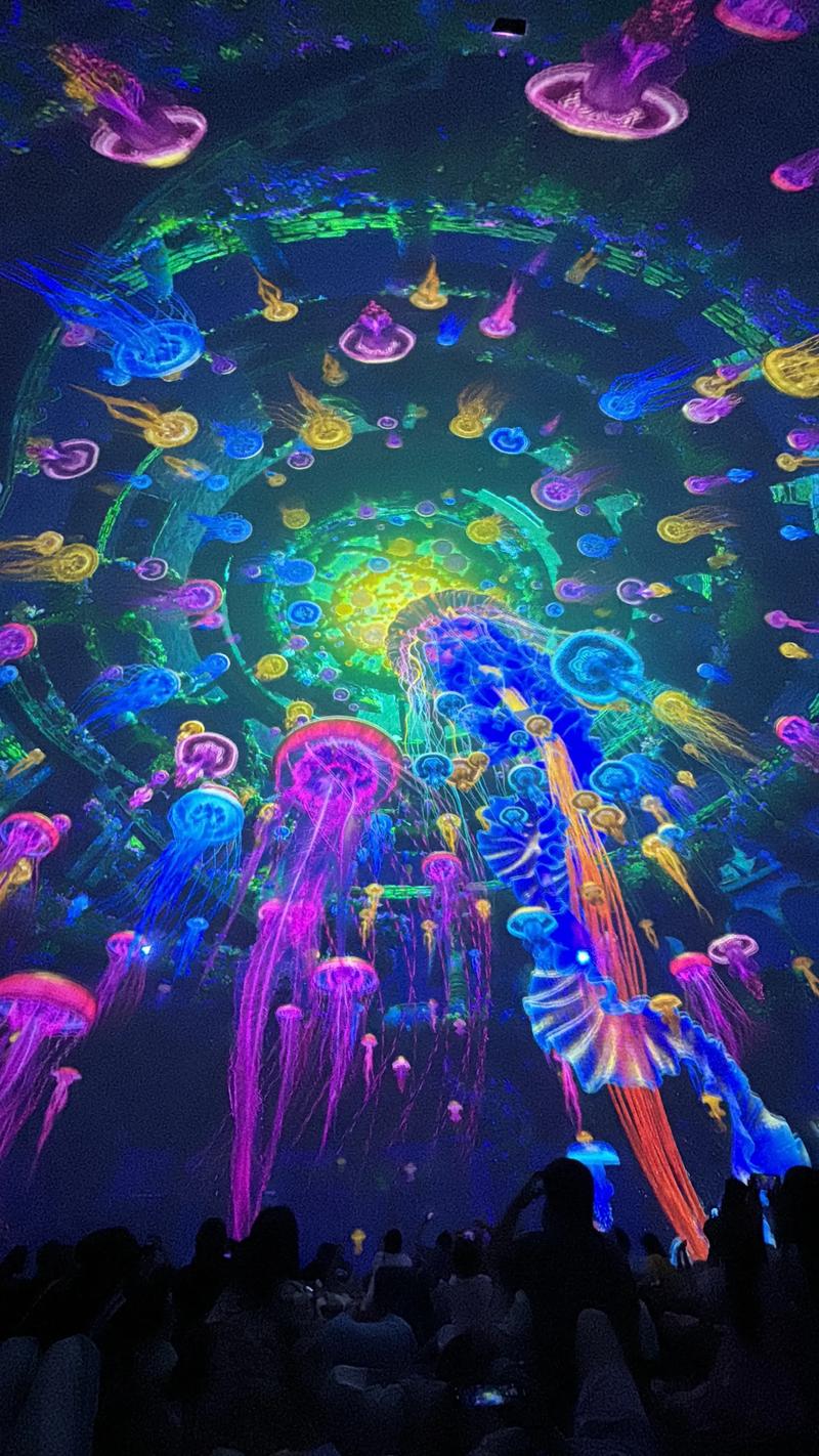 老司机福利影院福利直播 | 高清无限制观影体验，在线直播互动福利频道