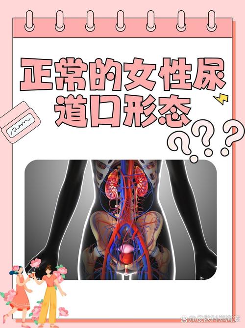 黑丝熟女诱惑国产av的相关介绍